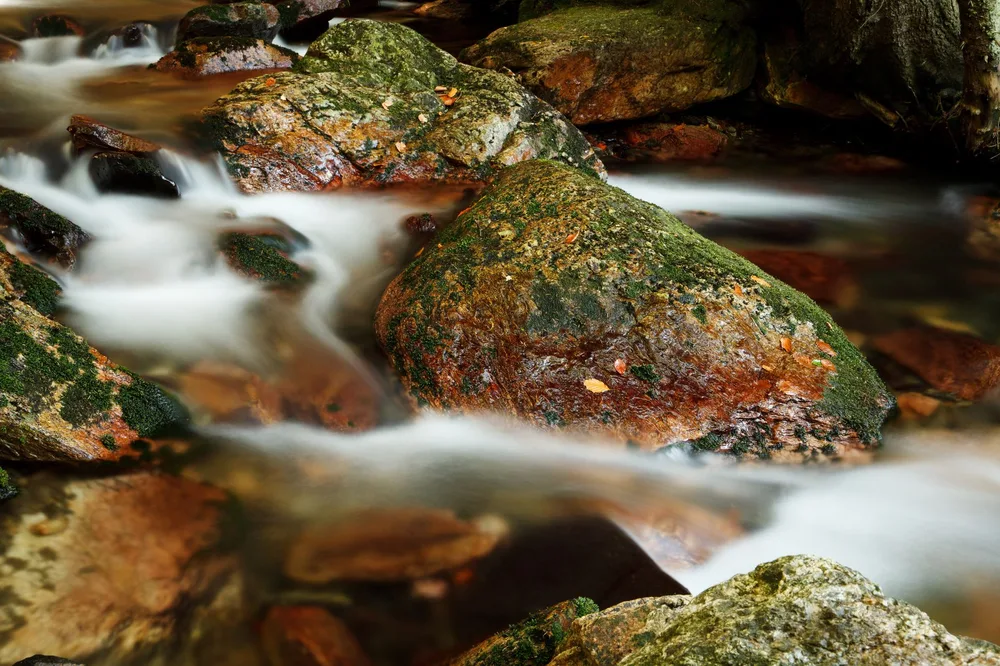 Ruisseau d'eau claire sur des rochers couverts de mousse en forêt, source naturelle en milieu rural