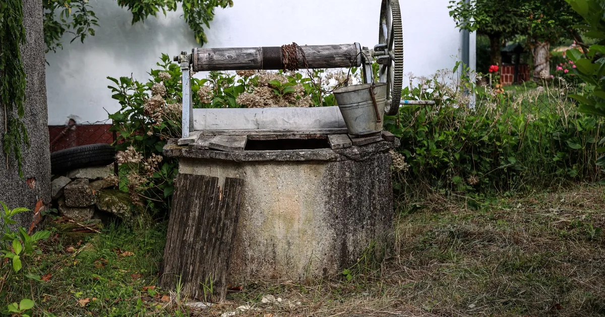 Vieux puits en pierre avec seau en métal dans un jardin de campagne, végétation verte en arrière-plan