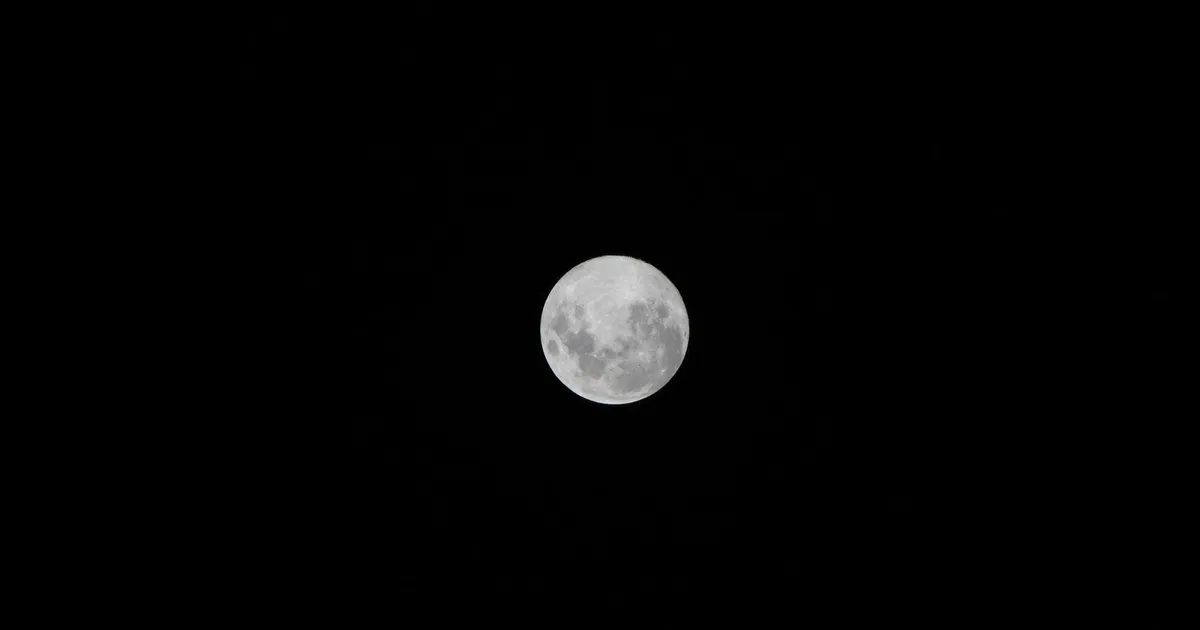 Lune au-dessus d'un verger en novembre, arbres aux branches nues
