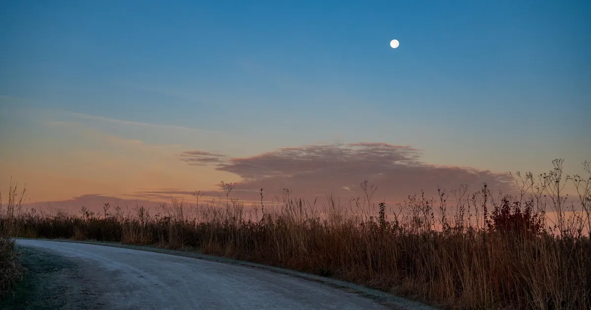 Lune au-dessus d'un chemin de campagne au crépuscule d'automne