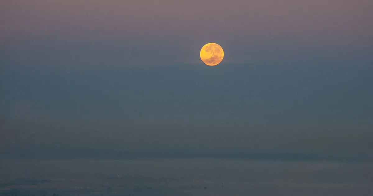 Lune au-dessus d'un potager d'automne en Bretagne