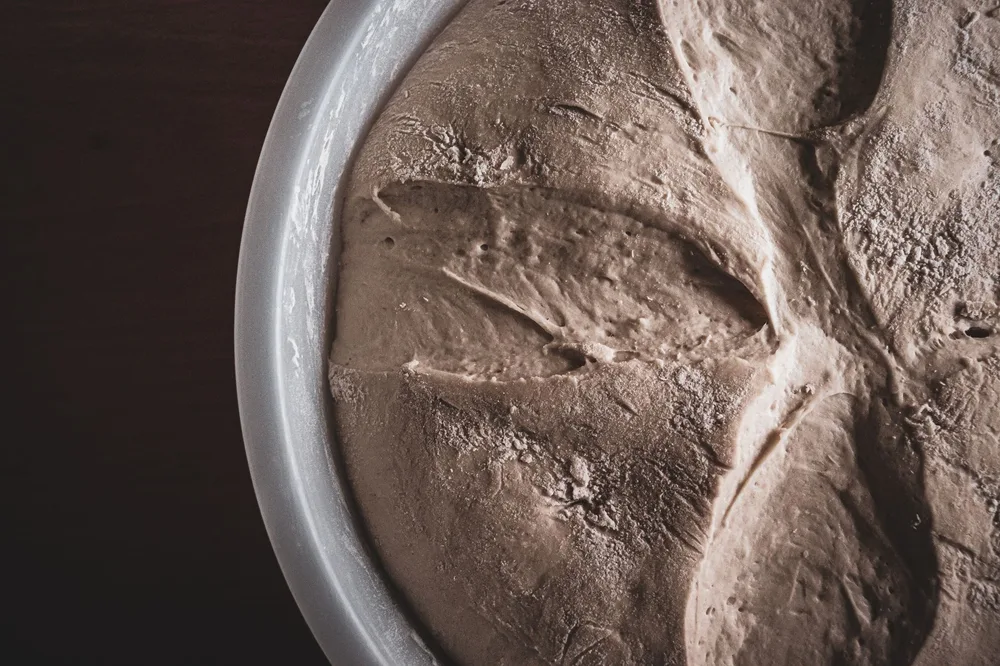 Pâte de seigle au levain dense et sombre dans un moule métallique, bulles de fermentation visibles en surface