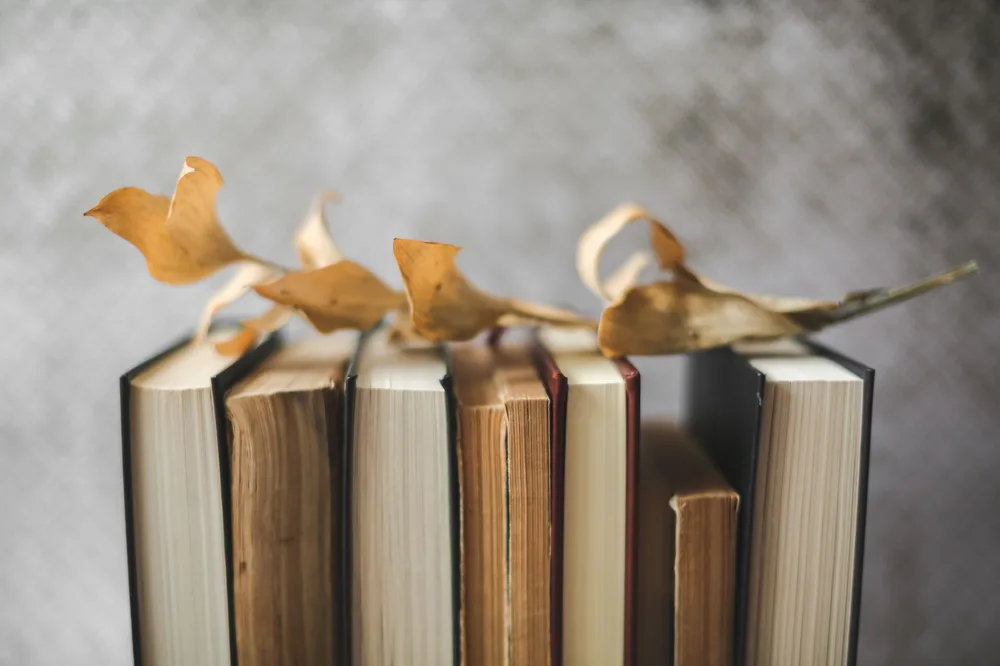 Livres anciens avec feuilles séchées comme marque-pages sur fond neutre, lumière naturelle, ambiance lecture d'hiver